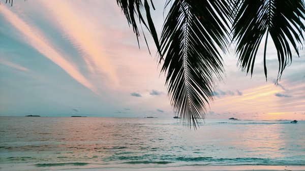 Quels critères pour choisir une location de vacances en Italie avec des ateliers de cuisine et des visites de truffières?